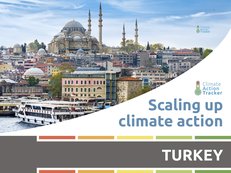 ScalingUpClimateActionSeries-ReportCovers-Turkey-WebThumbnail.jpg
